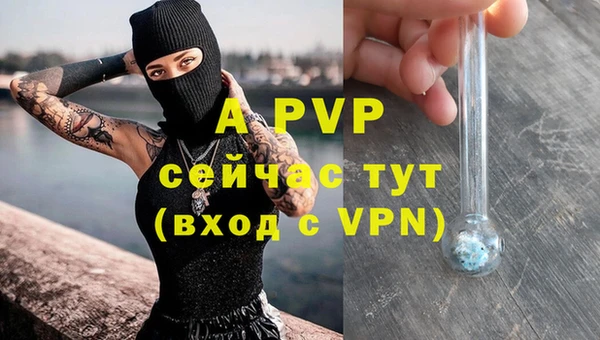 спиды Куйбышев