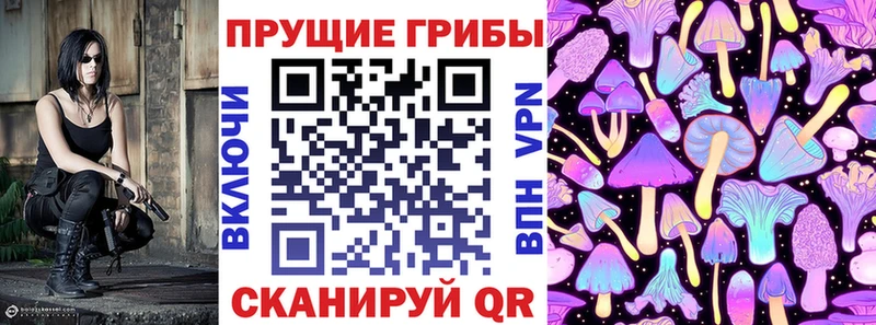 Купить  Артёмовск  Галлюциногенные грибы Magic Shrooms 
