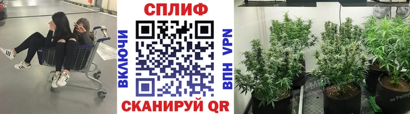 Купить закладки  Артёмовск  Канабис OG Kush 